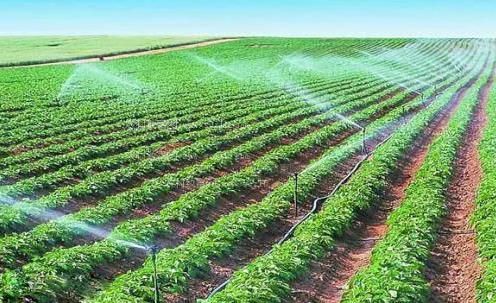 逼视频免费进入农田高 效节水灌溉